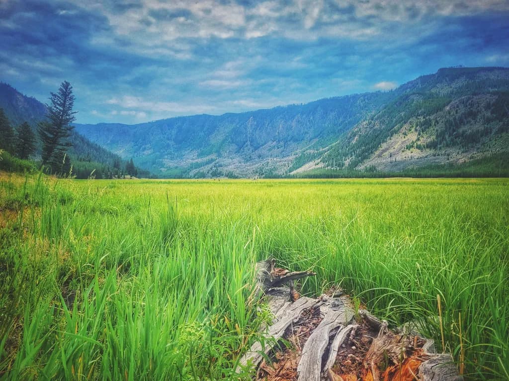 Mountain Meadow View