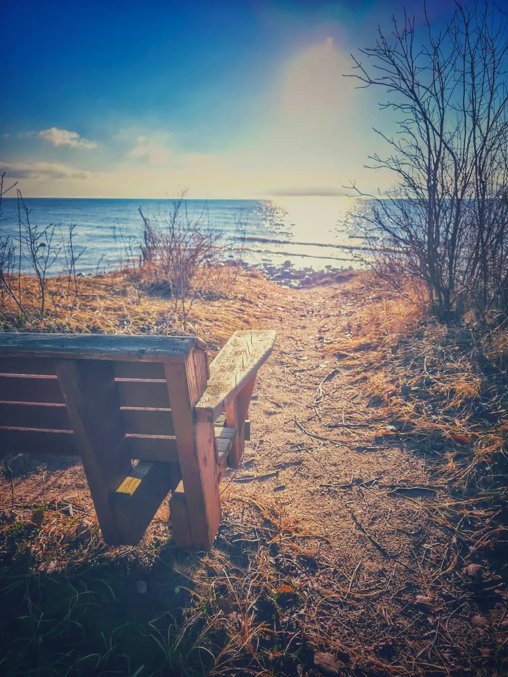 Beach Path Bench View