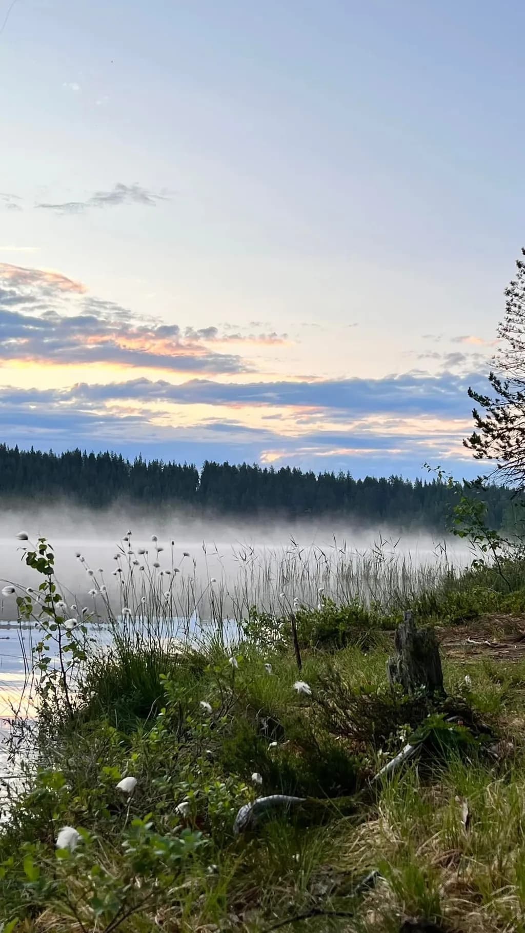 Misty Lake Dawn