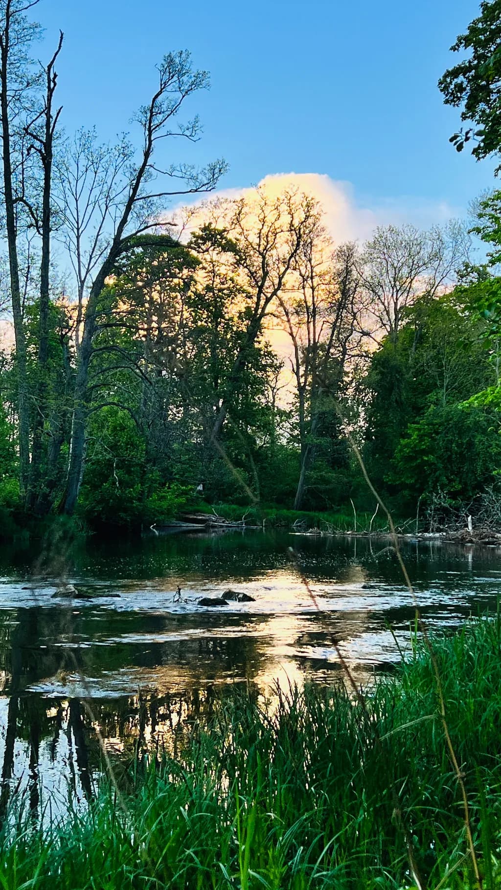 Sunset River Reflection