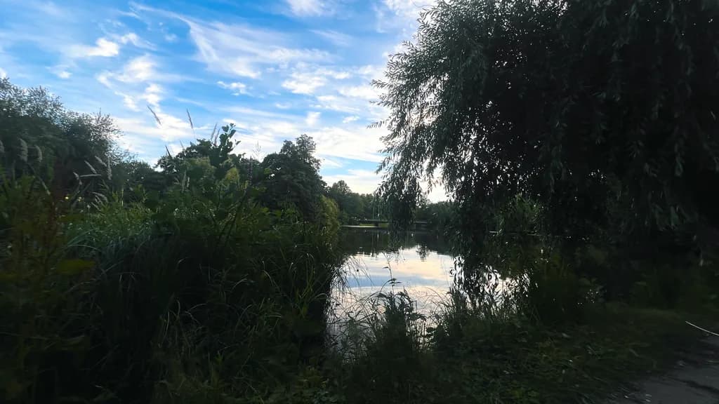 Quiet Lakeside Refuge