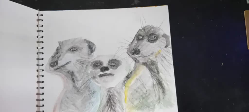 Meerkat Trio Sketch