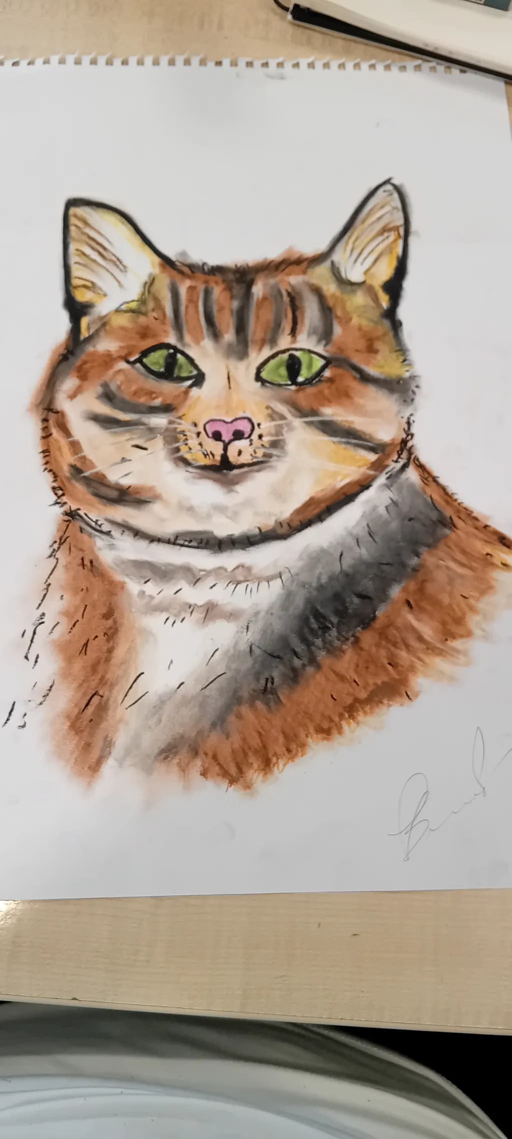 Cat Portrait