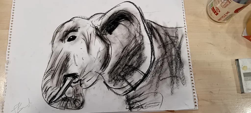 Elephant Study