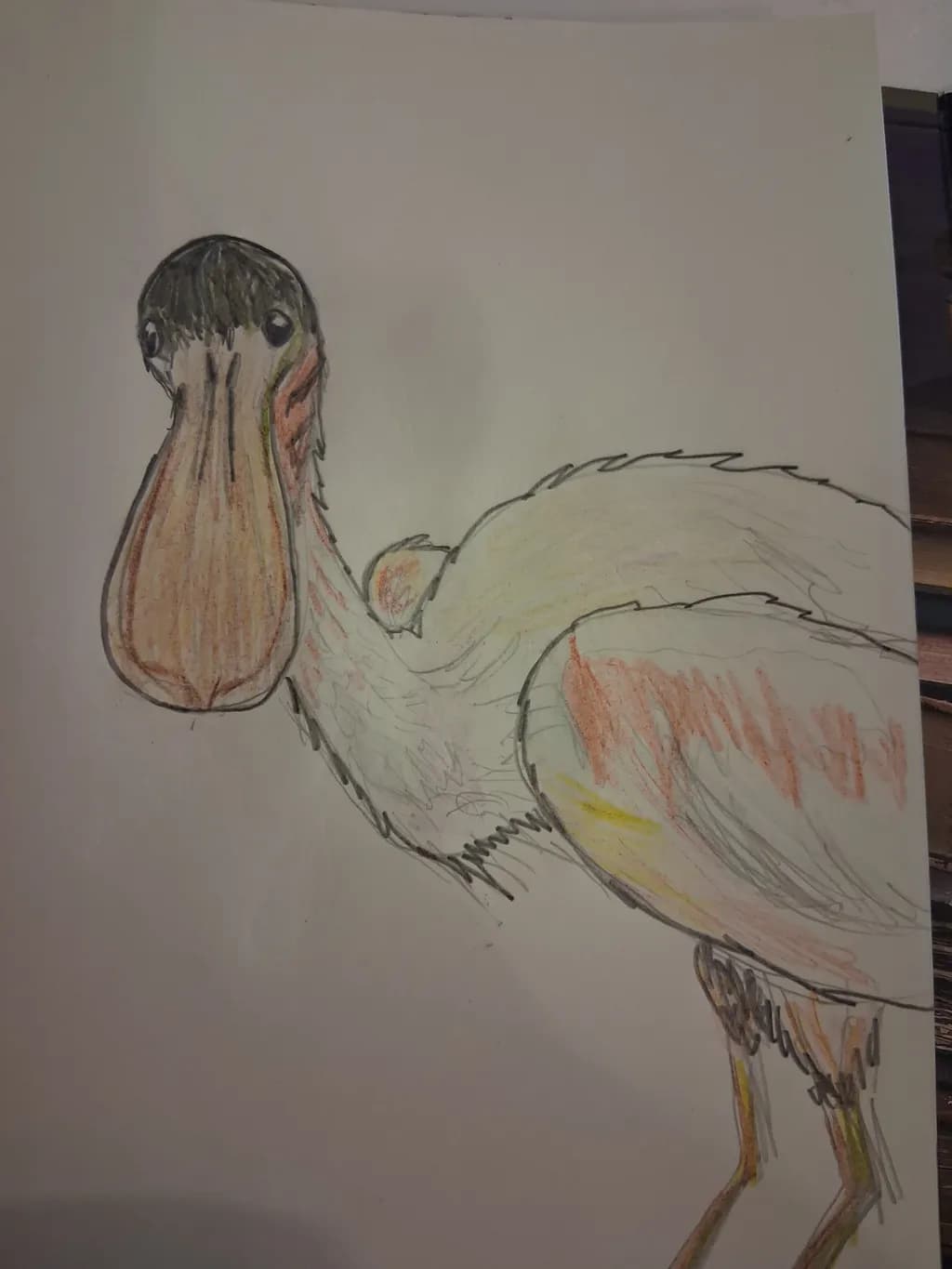 Inbound Pelican Sketch