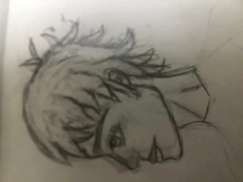 Profile Sketch