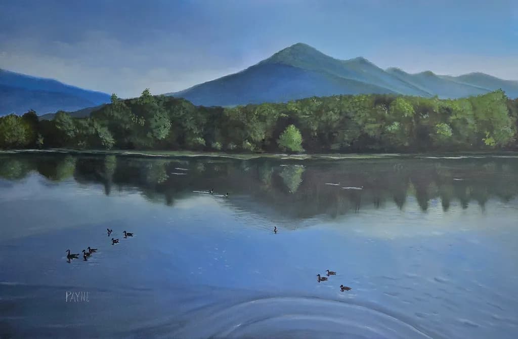 Lake Reflections with Ducks
