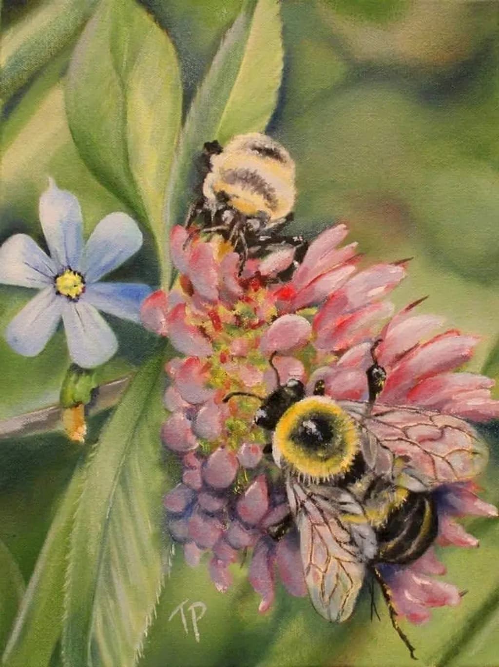 Bees on Flowers