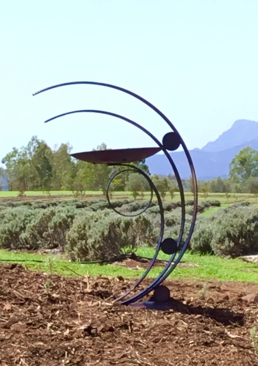 Lavender Field Sculpture