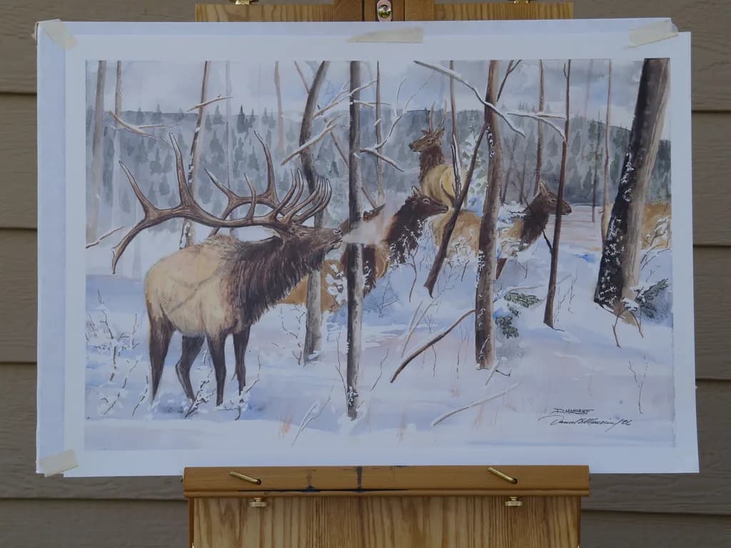 Elk in Winter Forest