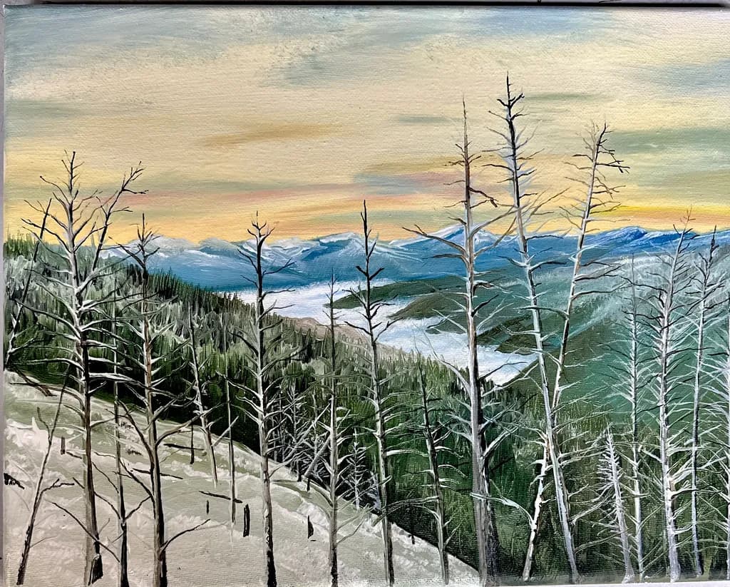 Mountain Forest View