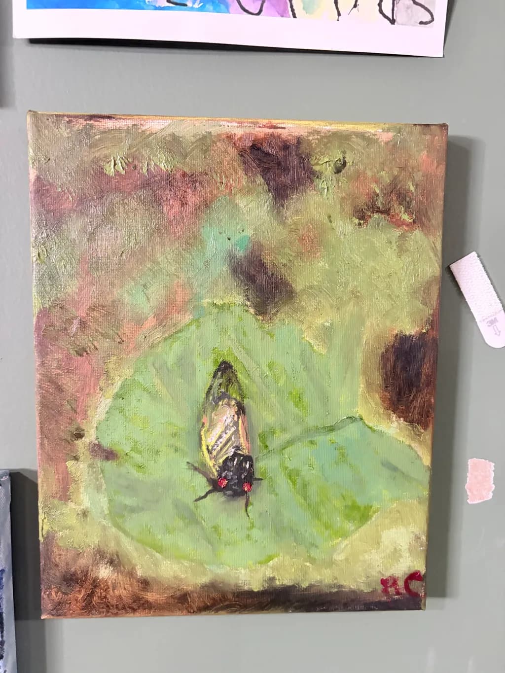Cicada on Leaf