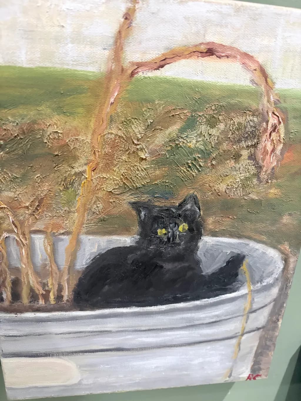 Cat in Planter