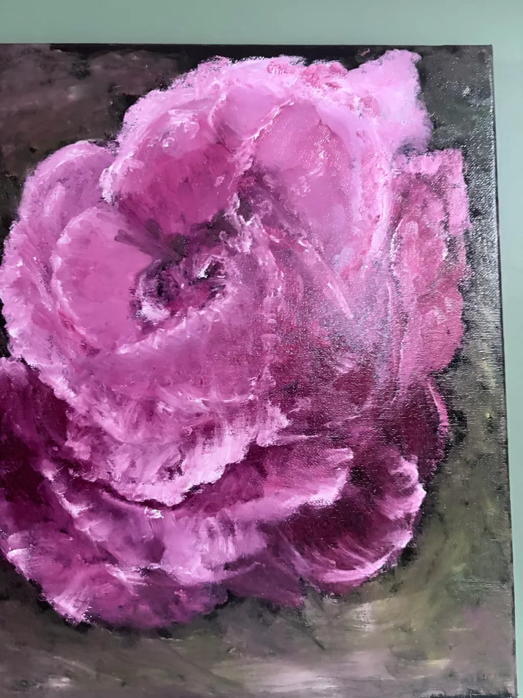 Pink Rose Close-up