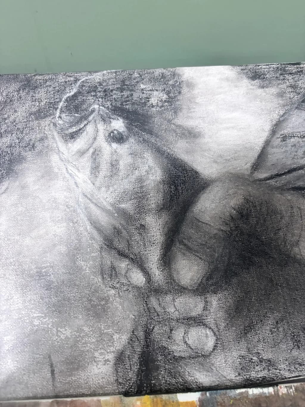 Hand and Leaf Study