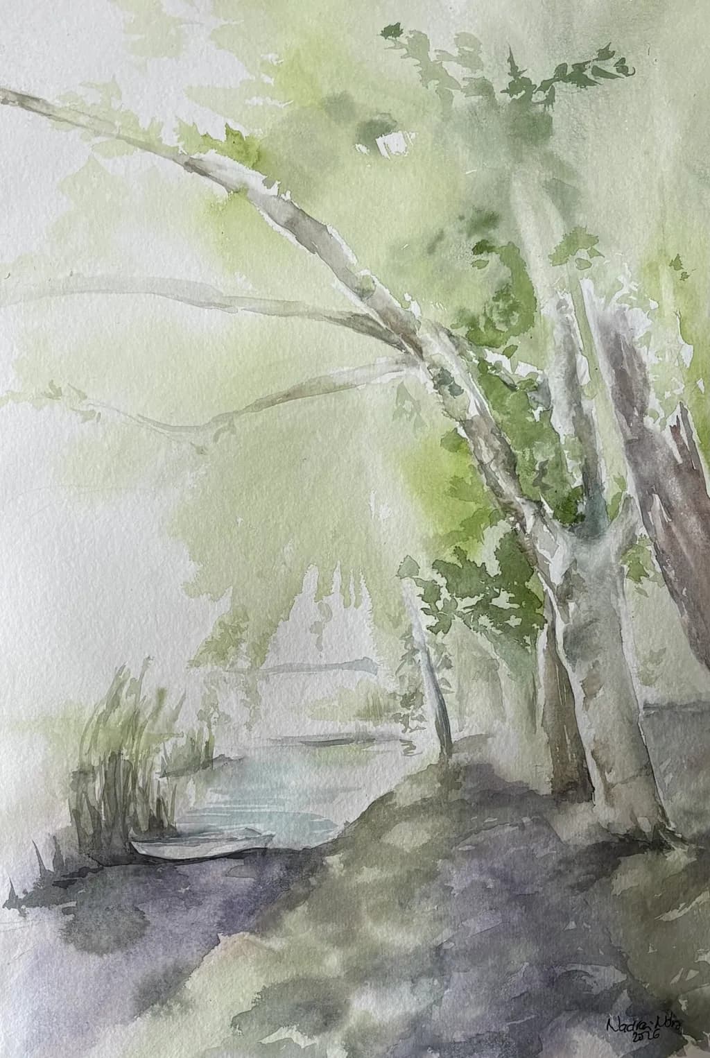 Riverbank Trees