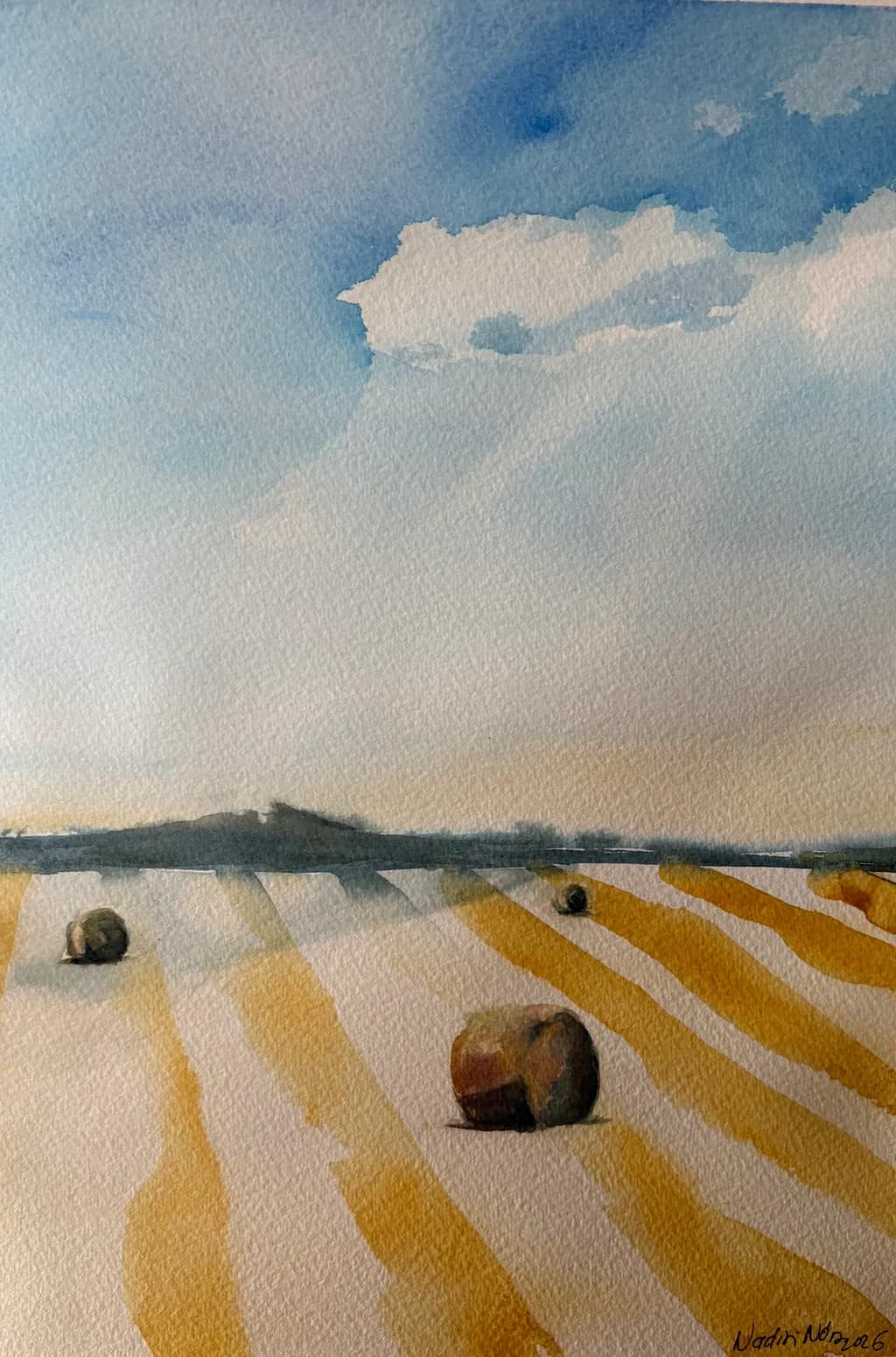 Harvest Field Shadows