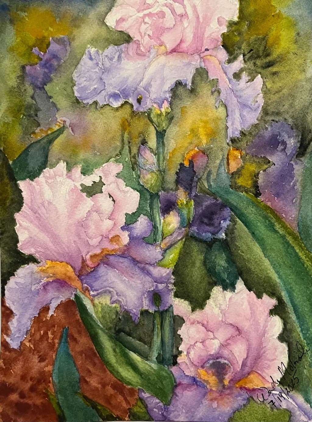 Iris Bloom