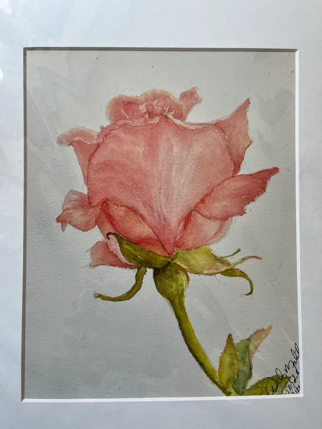 Pink Rose Blossom