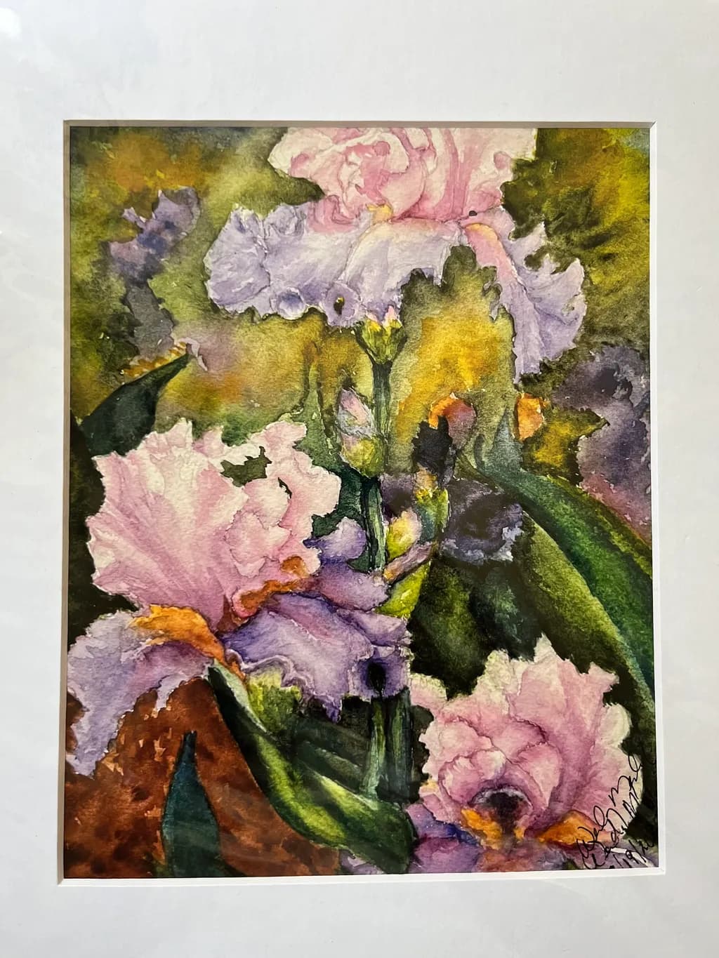 Iris Blossoms