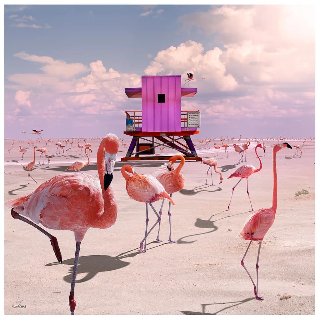 Flamingos on Beach