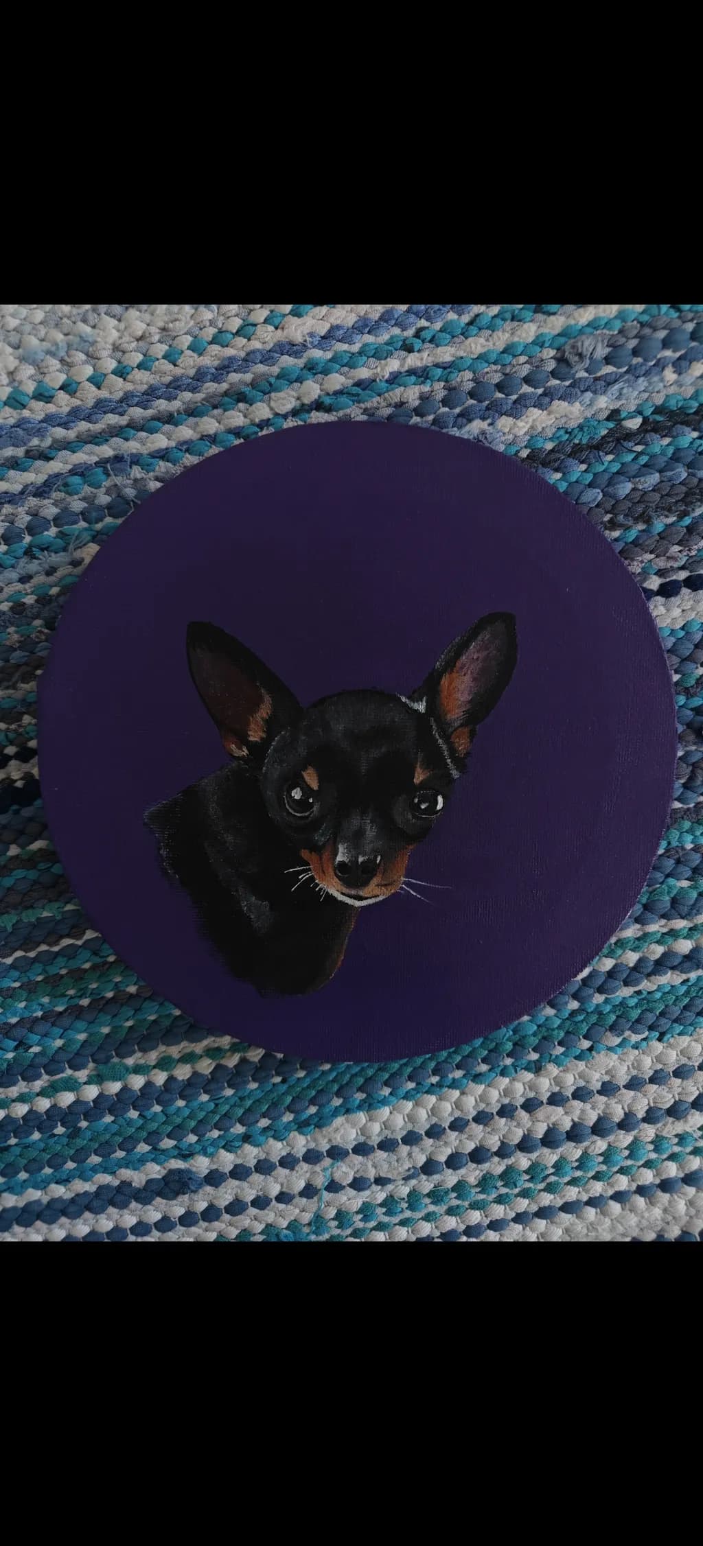 Chihuahua Portrait