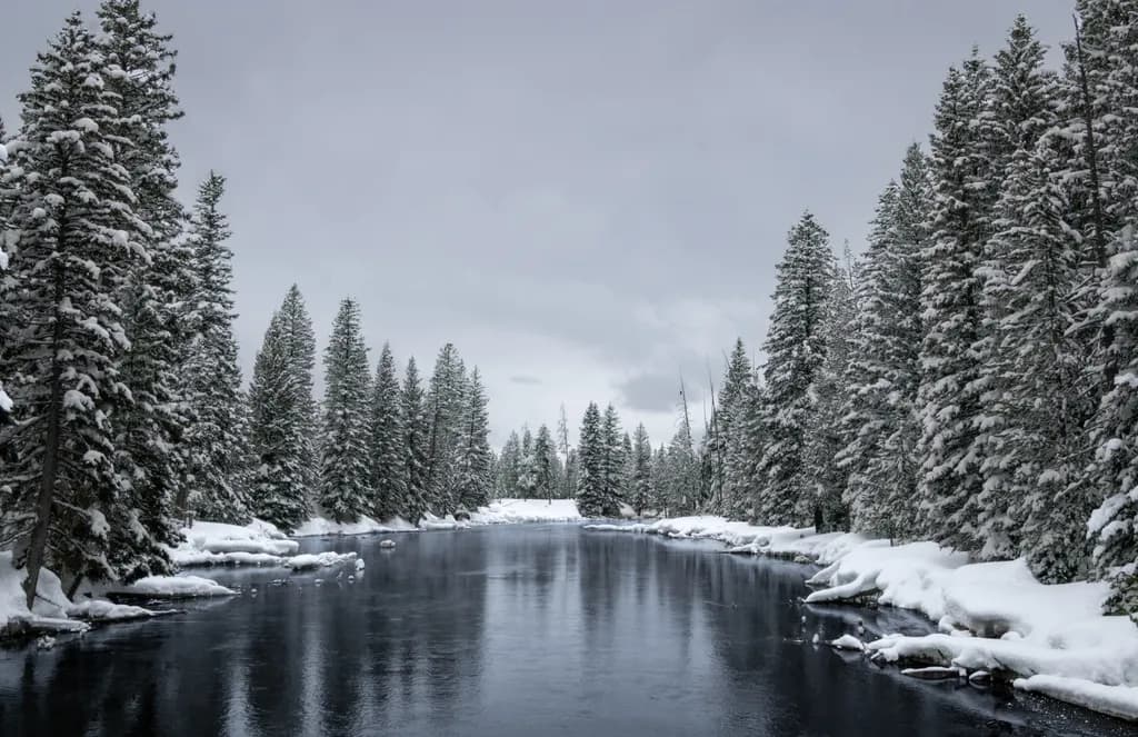 Snowy Forest River