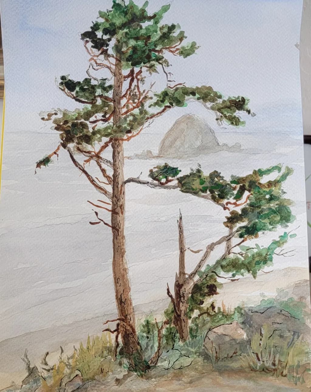 Coastal Trees with Rock