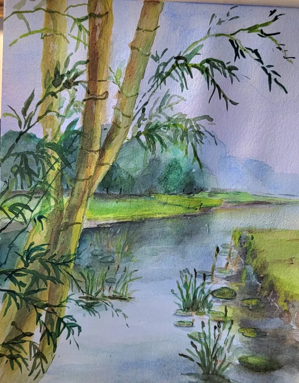 Riverbank Bamboo