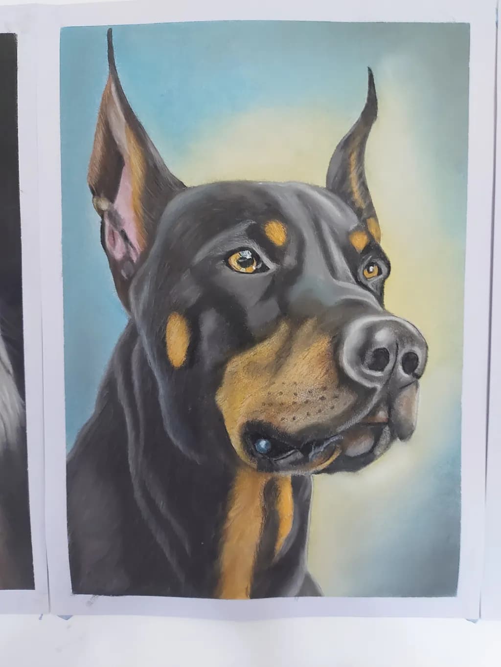 Doberman Portrait