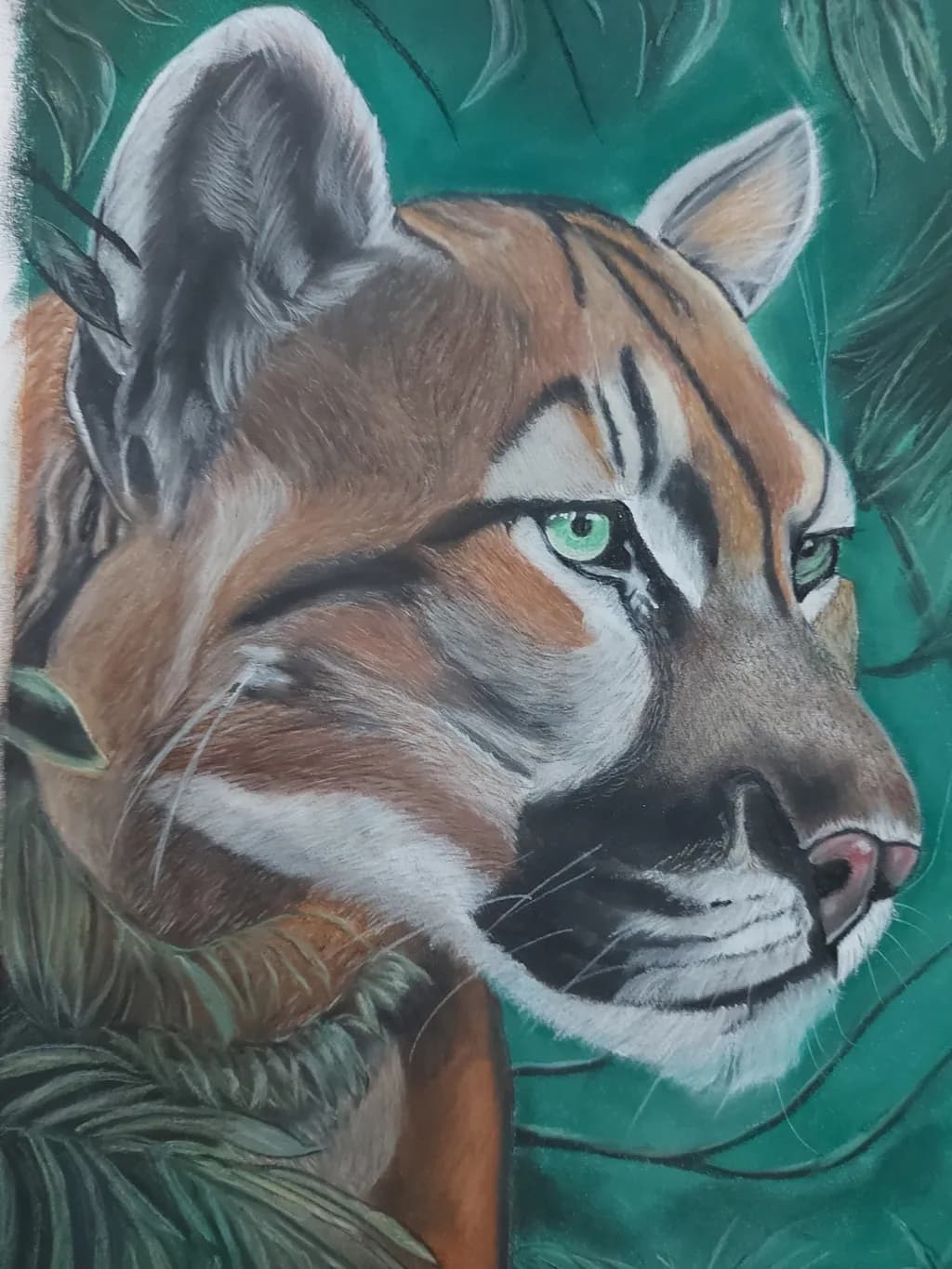 Cougar in Jungle