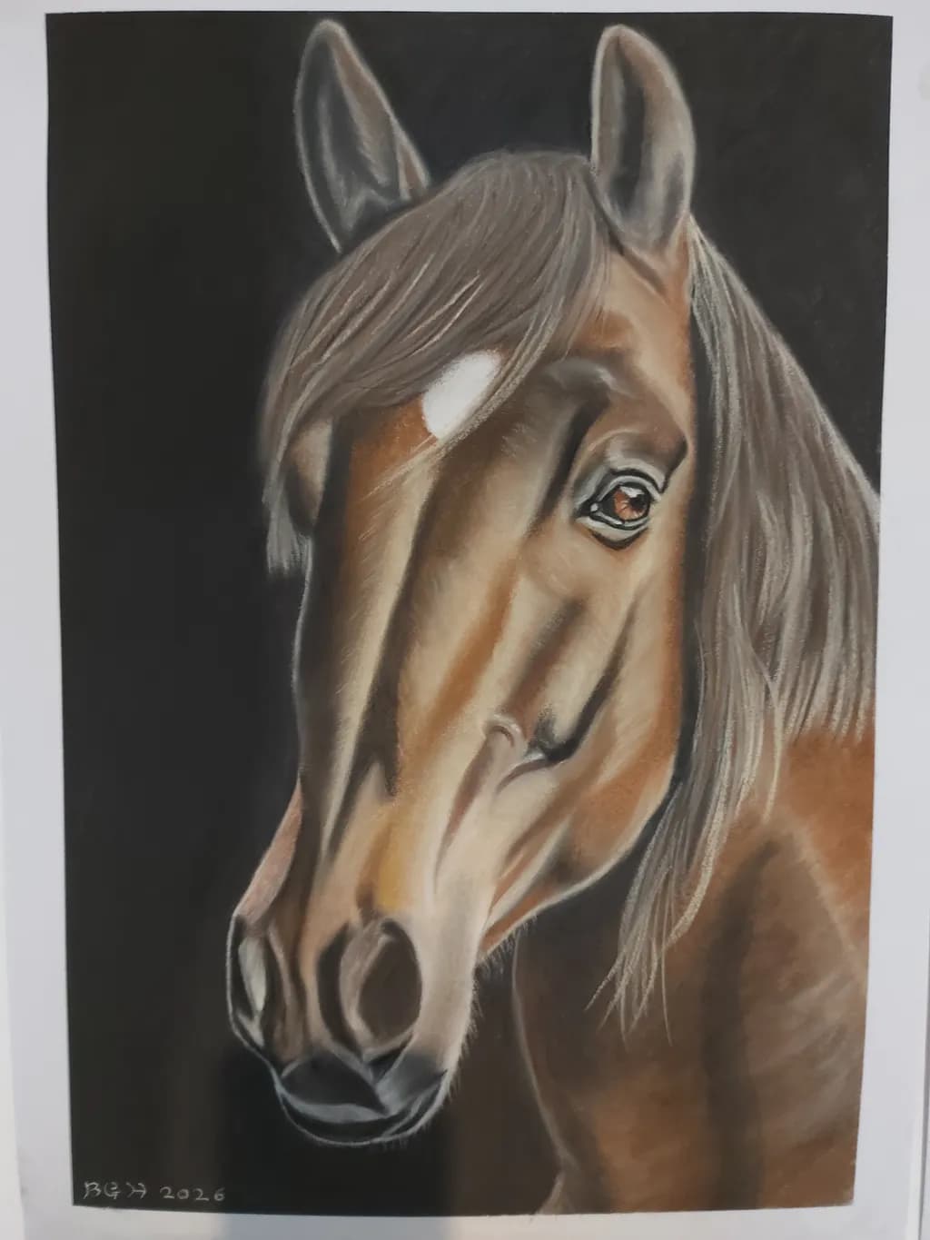 Horse Portrait