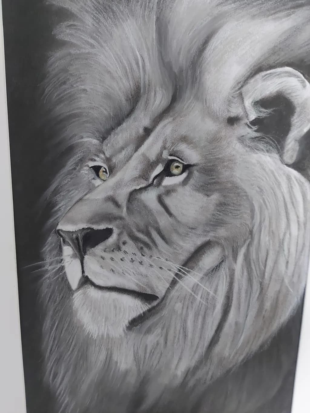 Lion Gaze