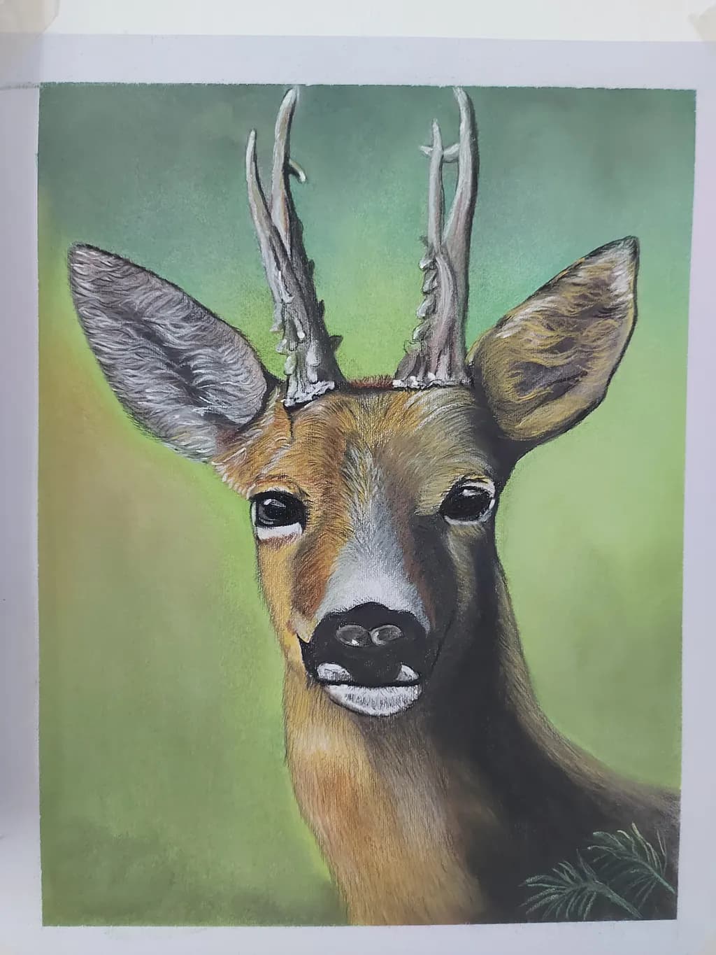 Inbound Deer Portrait
