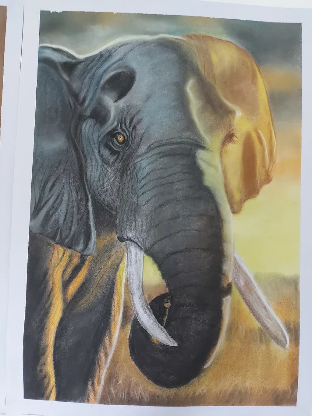 Elephant at Dusk