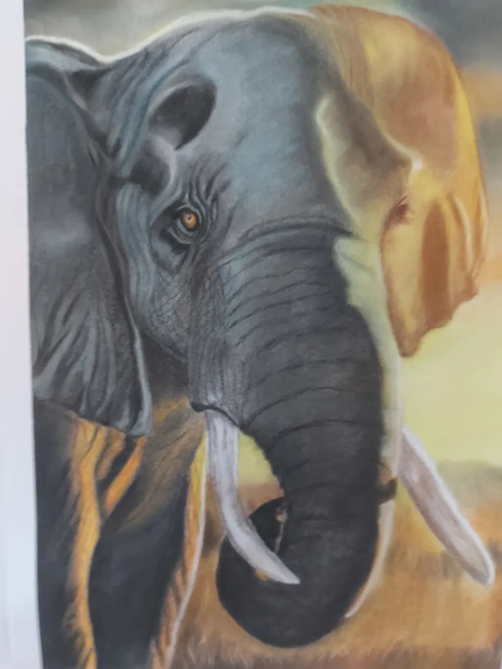 Elephant Portrait