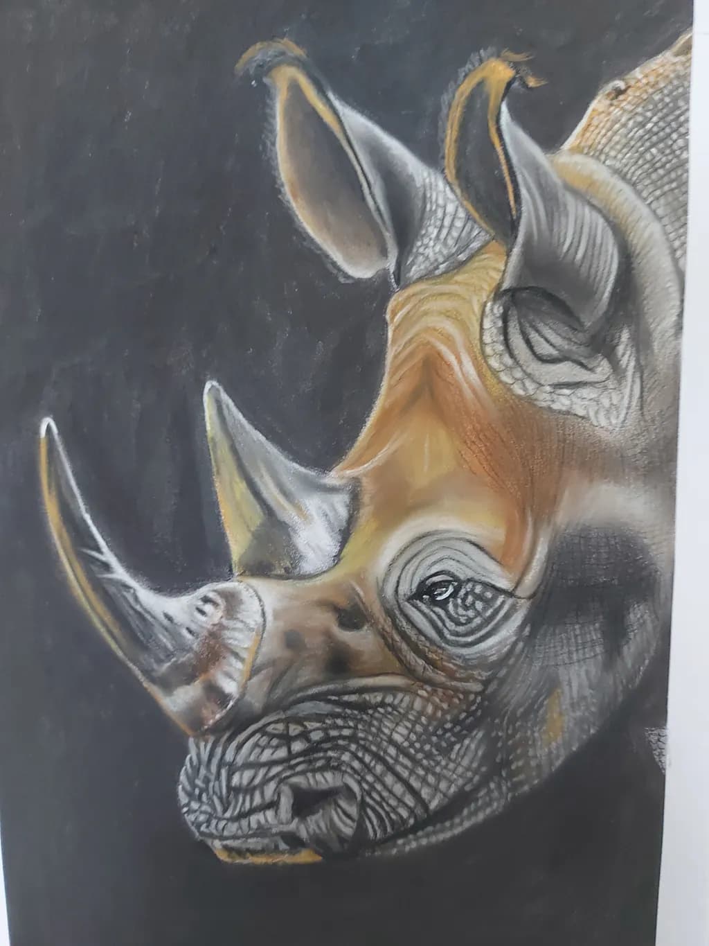 Rhino Portrait