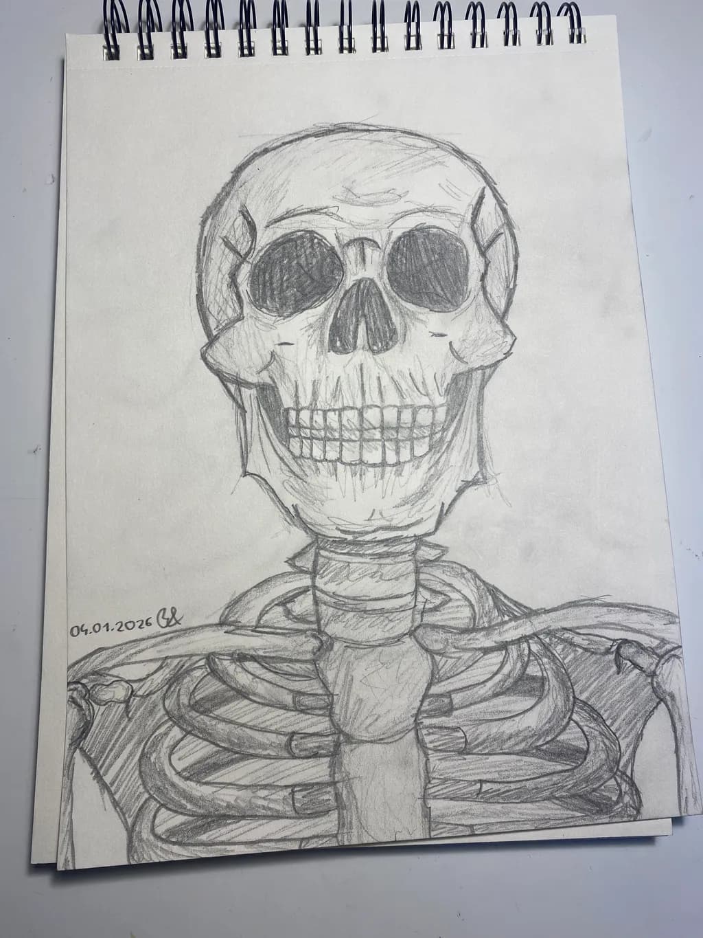 Human Skeleton Sketch