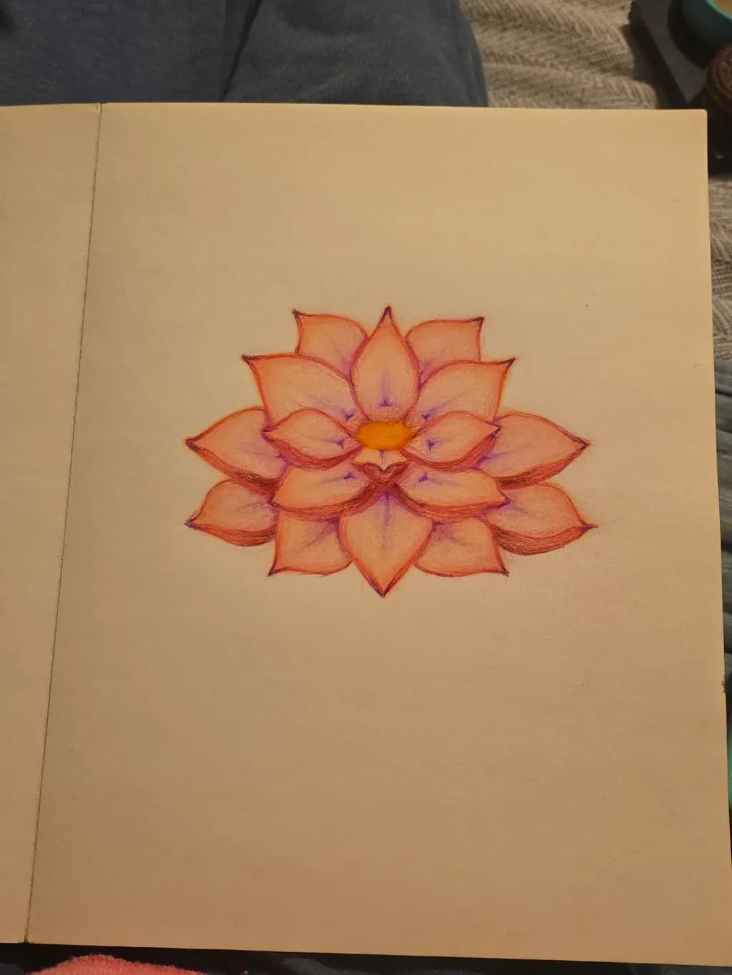 Colorful Flower Sketch