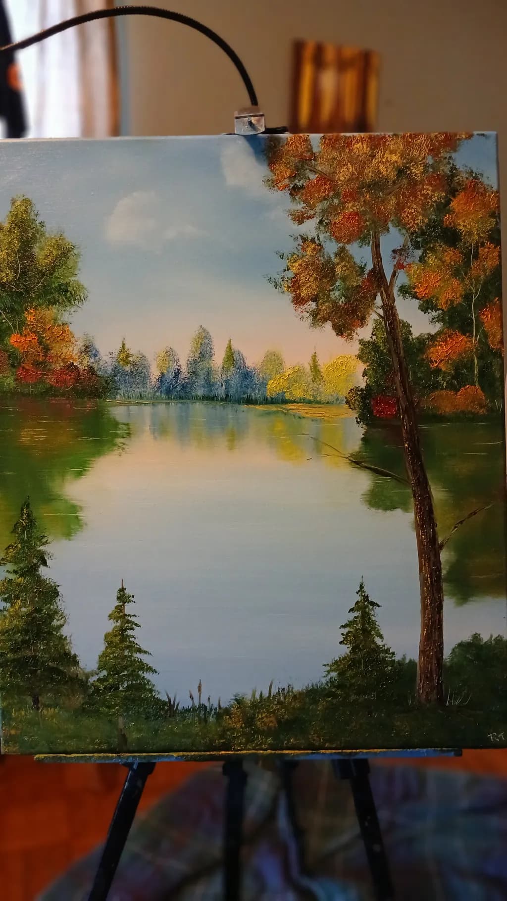 Lake Reflection