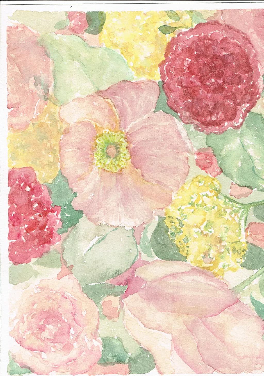 Spring Garden Blooms