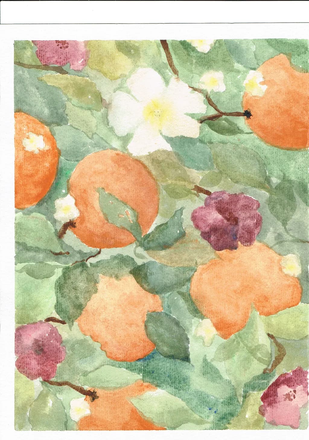 Orange Blossoms