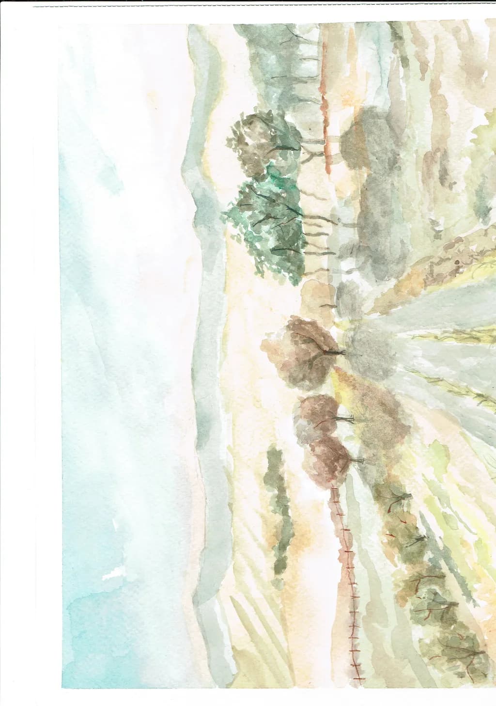 Countryside Trees