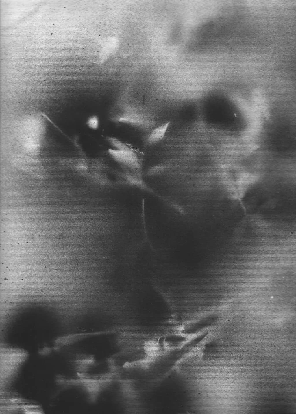 Blurred Floral Texture
