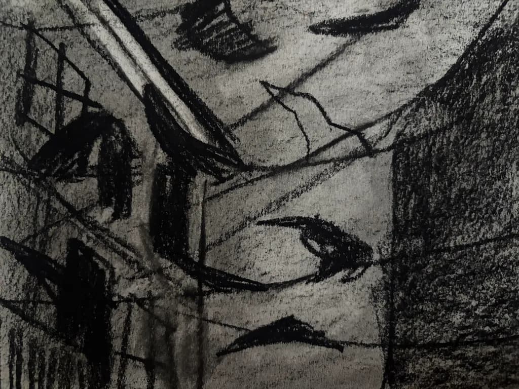 Birds in Urban Night