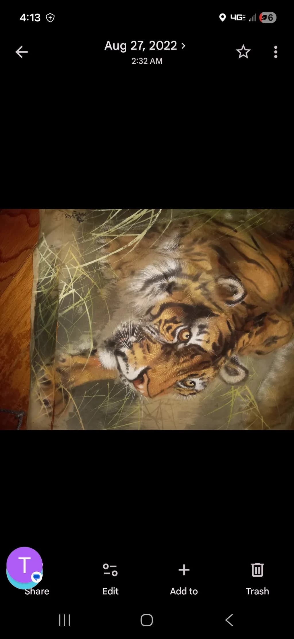 Tiger in Grass
