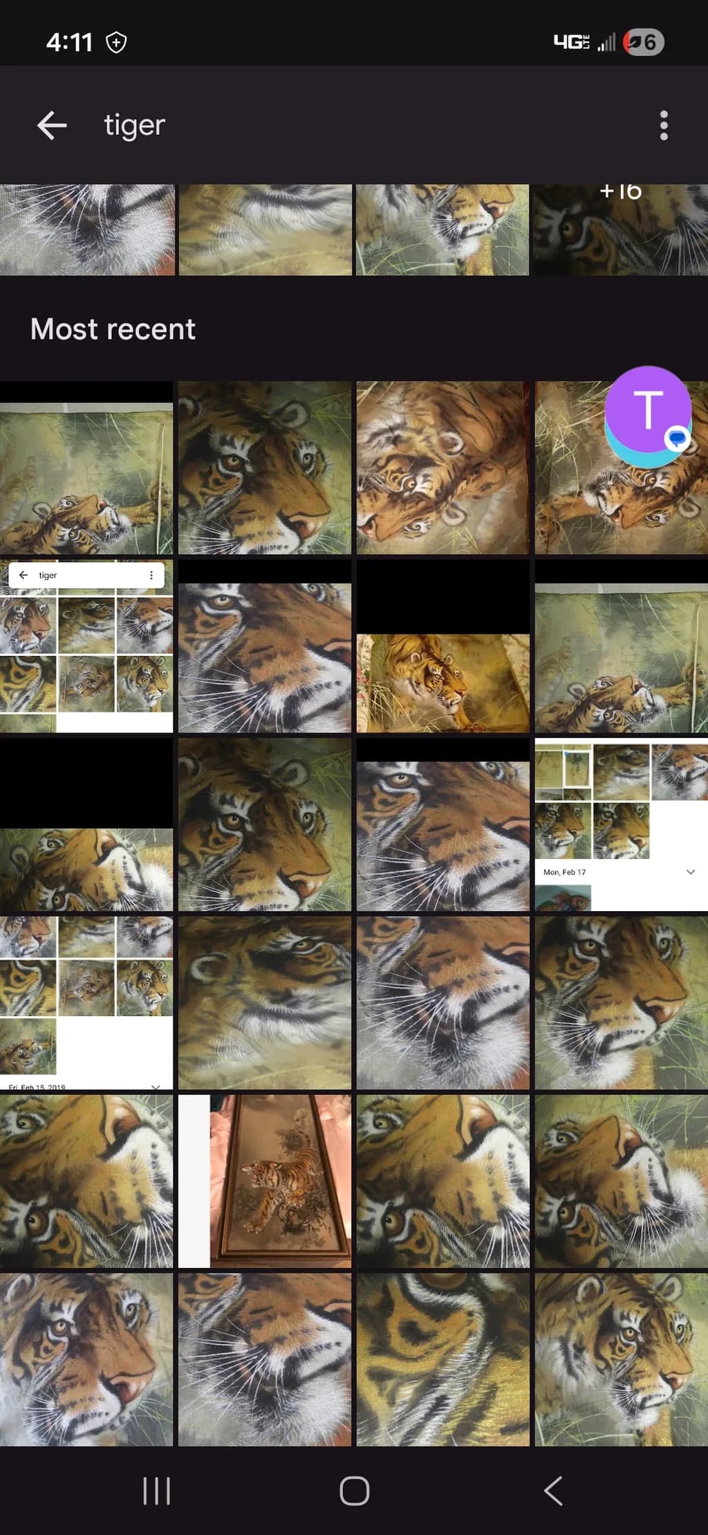 Tiger Portrait Close-Up
