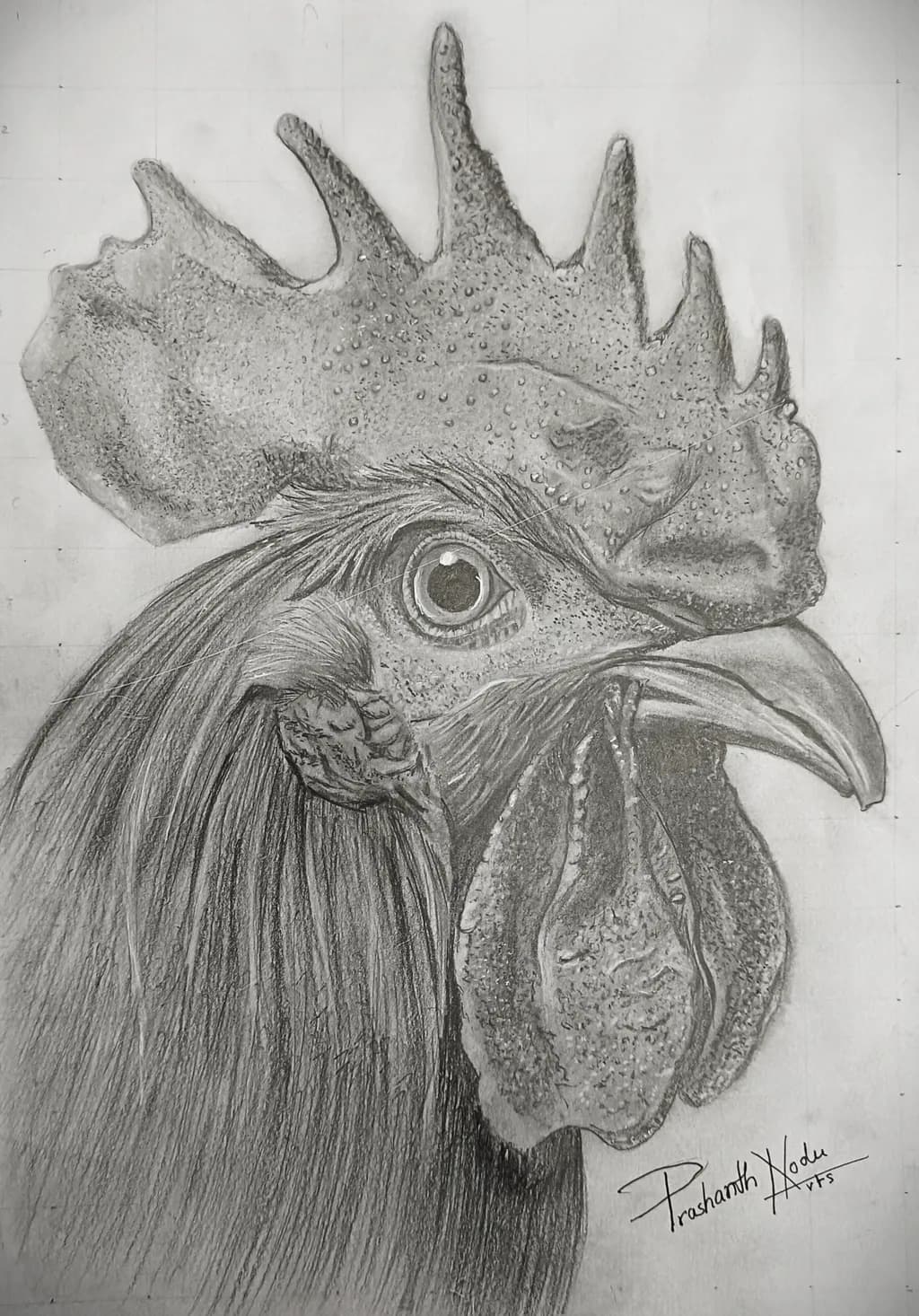 Rooster Drawing