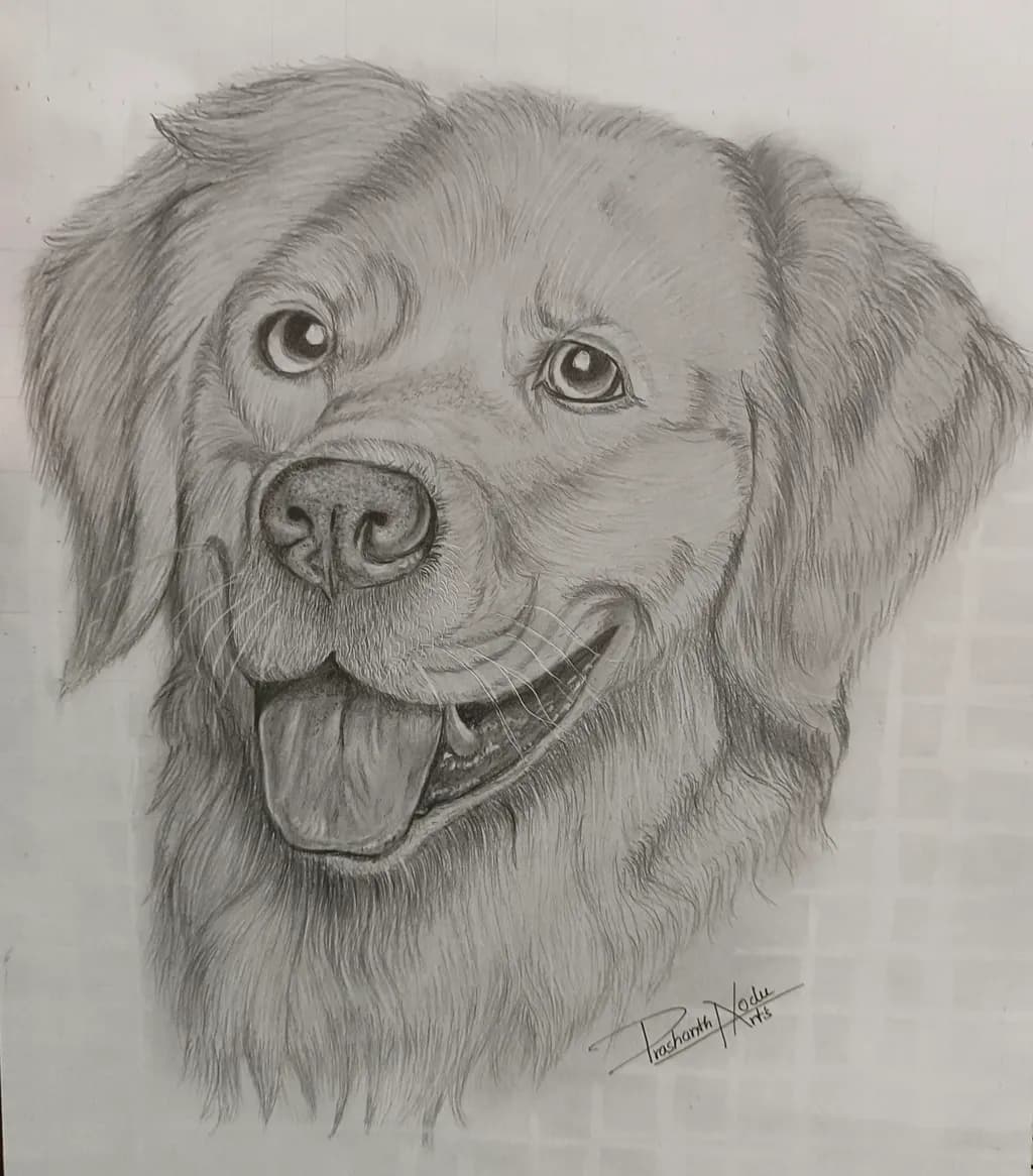 Drawing of Dog