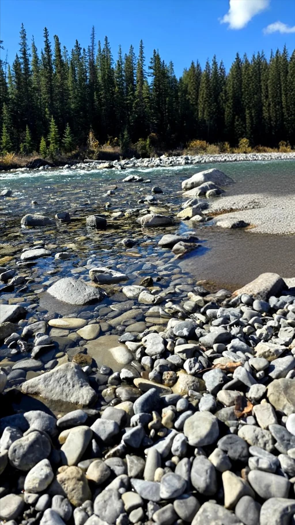 Riverbed Rocks
